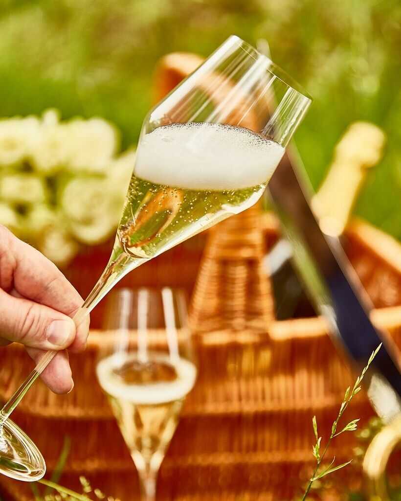 Bicchiere Zalto Champagne - Zaltify