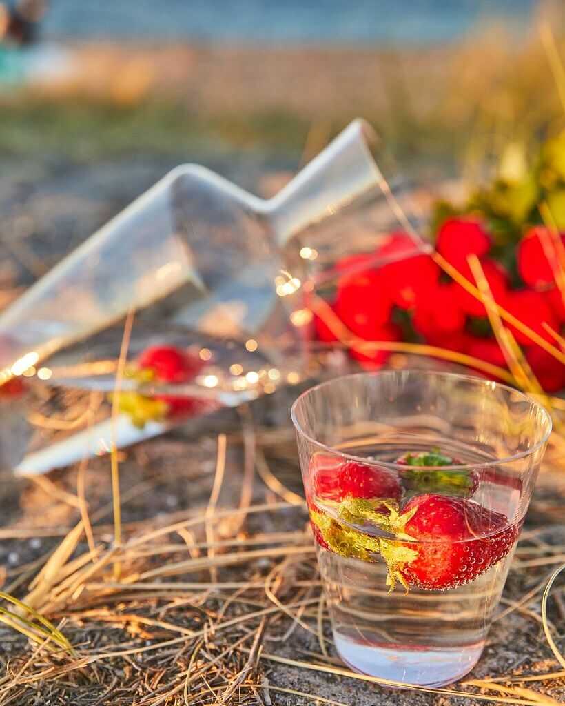 Zalto Coupe Crystal Clear, Zalto Denk&#39;art, Zalto glass, zalto vandglas, zalto vinglas, zalto denk&#39;art glas, zaltoglas